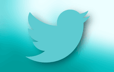 A stylized blue bird silhouette, resembling the Twitter logo, is centered on a gradient background transitioning from teal to white. The tone is sleek and modern.